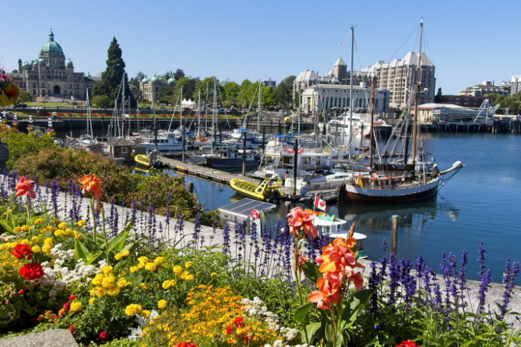 Young couple reviewing new home options in Langford BC